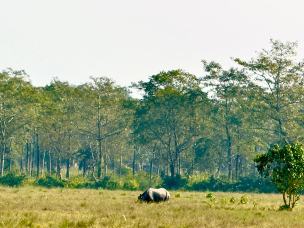 Himalayangloballogistics/wall-image