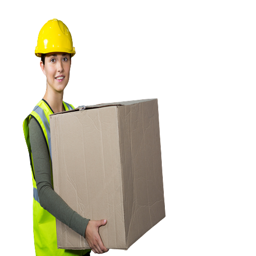 logistics handling at himalayan global